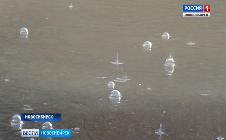 Проливные дожди придут в Новосибирскую область в ближайшие сутки