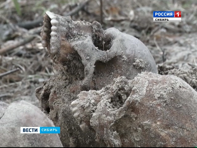 На месте старого монастыря в Барнауле обнаружили останки жертв сталинских репрессий