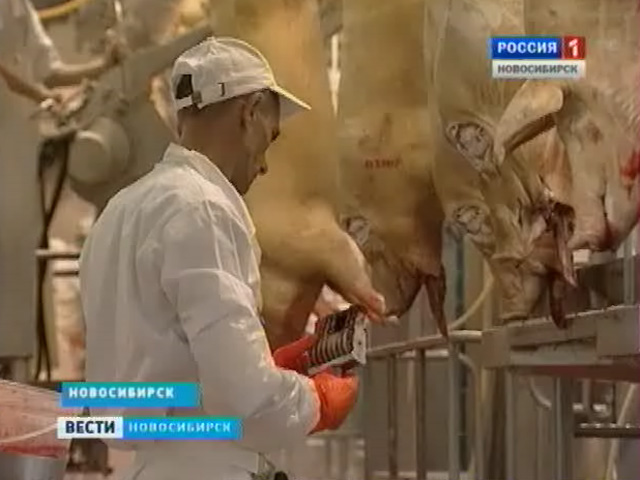В Новосибирске проверили, как животноводы соблюдают новый техрегламент по убою скота