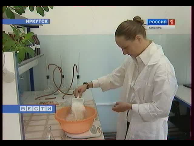 Иркутские ученые добавили лишайник в хлеб