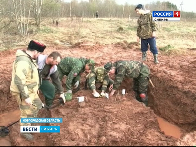 Погибшего солдата ВОВ перезахоронят в Алтайском крае