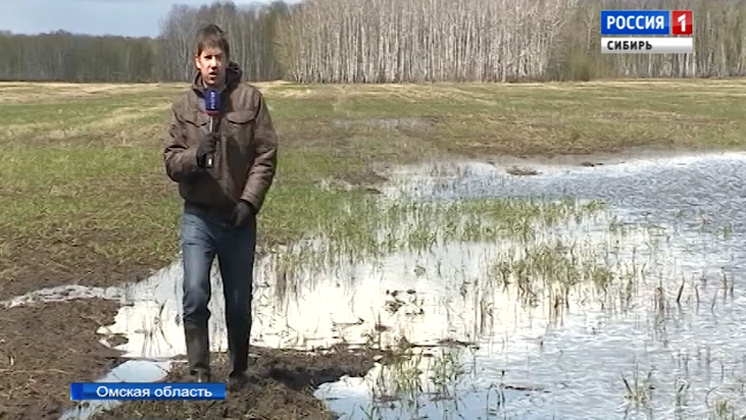 Непогода в регионах Сибири срывает посевную кампанию