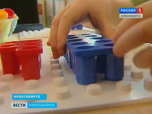В Новосибирские детские сады внедряют английскую систему обучения математике, &quot;Нумикон&quot;