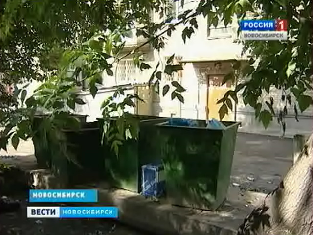 Жители дома на Серафимовича два месяца вынуждены дышать запахами из мусорных баков