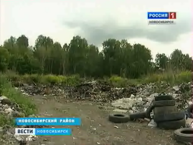 В Новосибирском районе начнут строить завод по переработке мусора