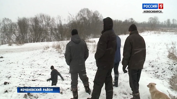 «Вести» проследили за ликвидацией незаконного скотомогильника в Коченевском районе