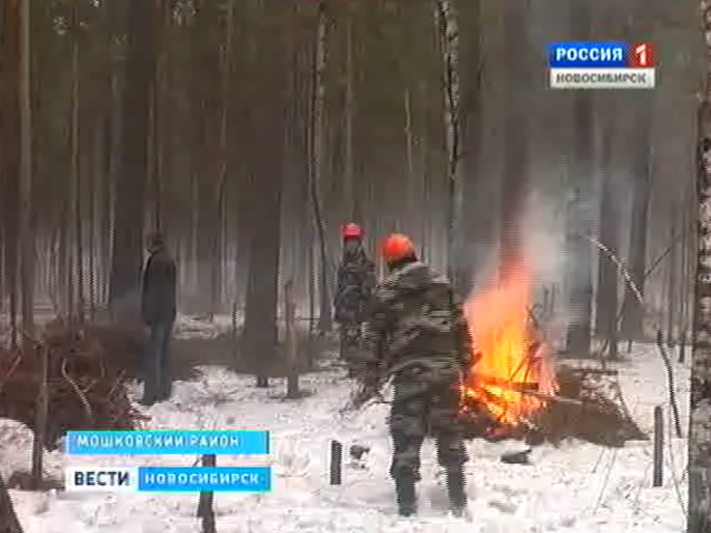 Новосибирские пригороды жгут, чтобы уберечь людей от весенних лесных пожаров