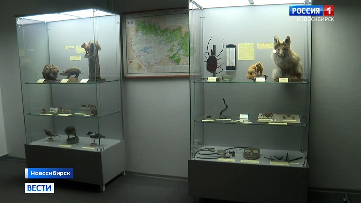 В Новосибирске открылась выставка о клещевом энцефалите