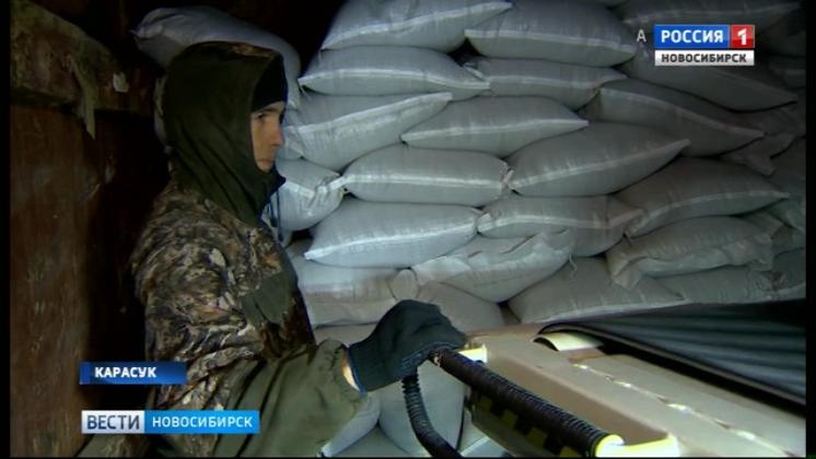 Новосибирские аграрии отправили на экспорт более 600 тысяч тонн зерна 