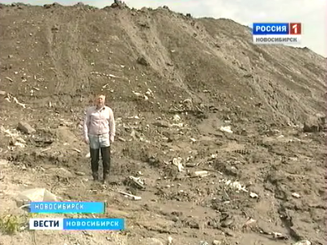 Новосибирцы продолжают бороться за чистоту и здоровье со снегоотвалами