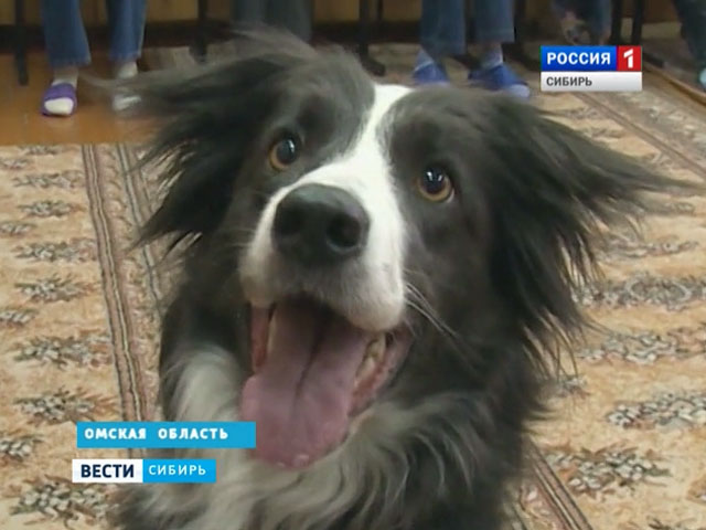 В Омском доме-интернате для детей с задержкой в развитии работает  пес-терапевт