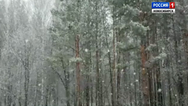 В Новосибирске за неделю до наступления лета выпал снег