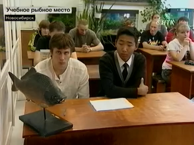 В Новосибирске сегодня набирают слушателей на курсы рыбоводов