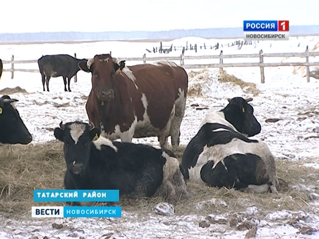 В этом году в Новосибирской области появятся 23 сельхозобъекта