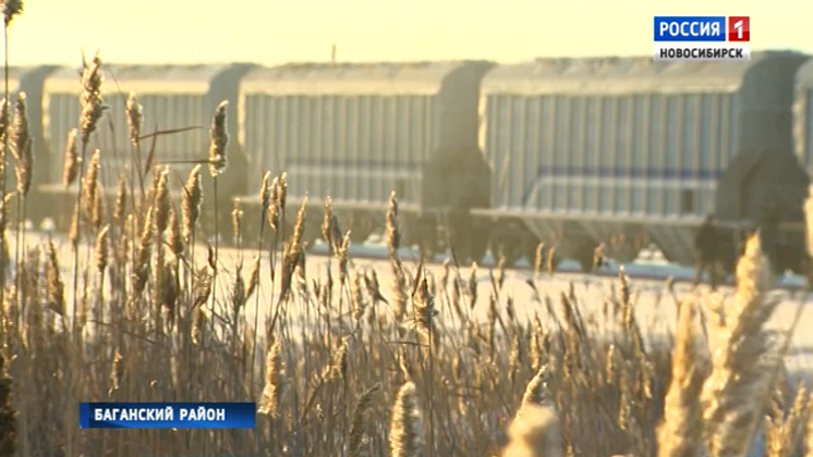 Зерновой кластер планируют создать в Баганском районе Новосибирской области