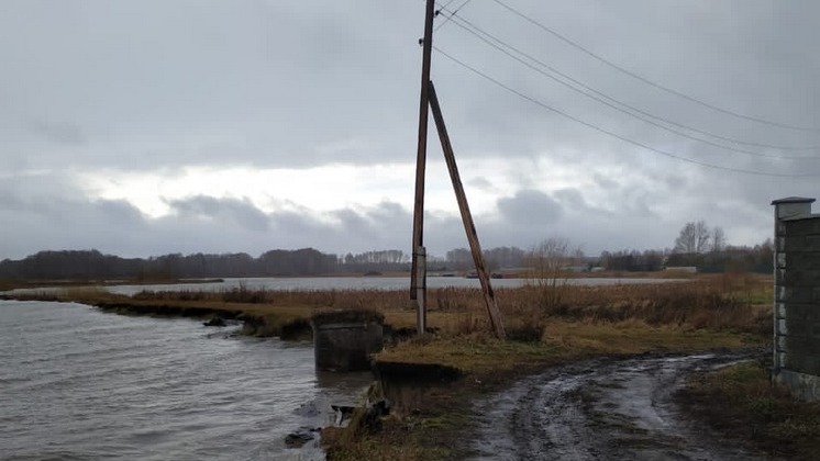 Вода подмыла берег и угрожает жилым домам в селе под Новосибирском
