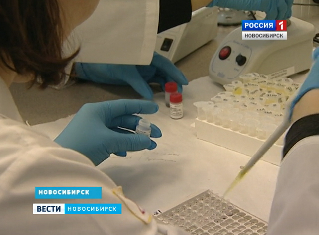 В Новосибирске ученые спасают мышей от депрессии