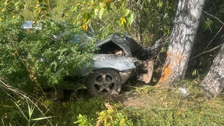 Водитель съехал в кювет и разбился о дерево на трассе под Новосибирском