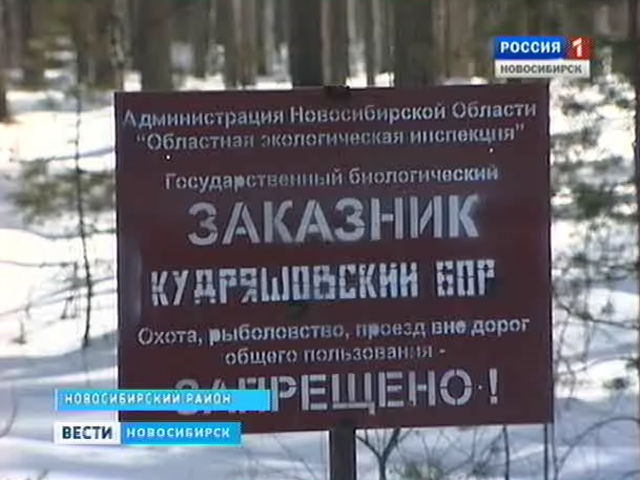 Охотников в Новосибирской области скоро будет больше, чем добычи