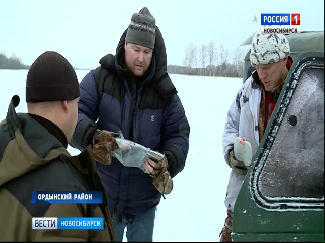 Охотоведы Новосибирской области выходят на круглосуточное патрулирование лесов
