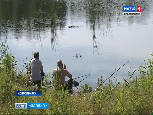Рыбаки выловили из озера в Первомайском районе запущенного для очистки белого амура 
