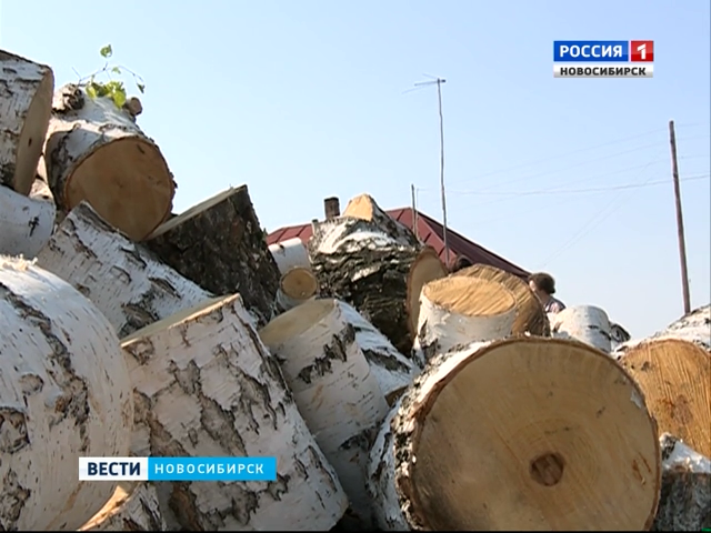 Жители Коченевского района с начала весны ждут дрова