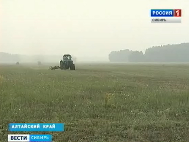Засуха в Алтайском крае вносит корректировки в планы фермеров