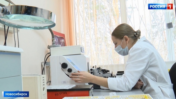 Новосибирские учёные рассказали о средстве для восстановления клеток организма после химиотерапии