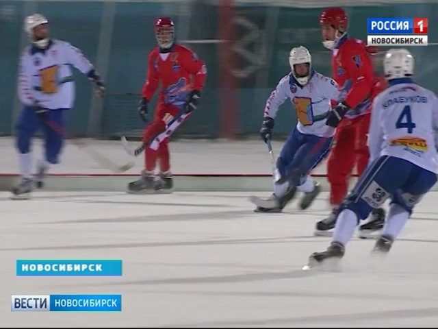 Хоккей с мячом, волейбол, шахматы: анонс спортивных событий в Новосибирске