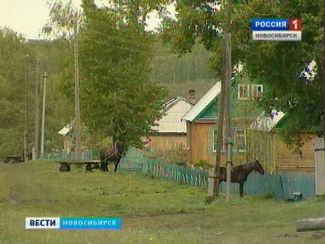 Село Украинка в Черепановском районе переживает второе рождение