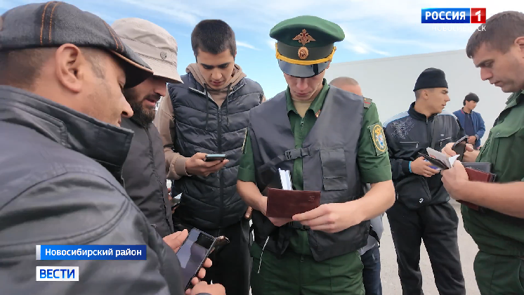 Рейд по поимке мигрантов-нелегалов провели на оптовом рынке под Новосибирском