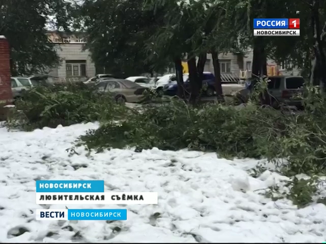 Заснеженные деревья падают на припаркованные автомобили в Новосибирске