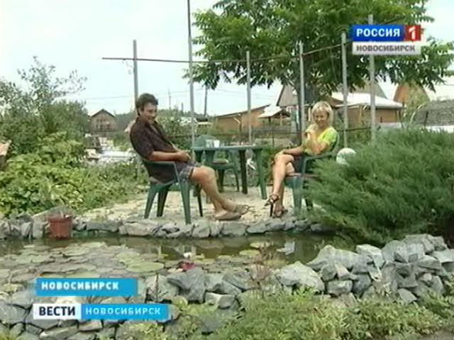 На загородных участках новосибирских дачников можно встретить необычную живность