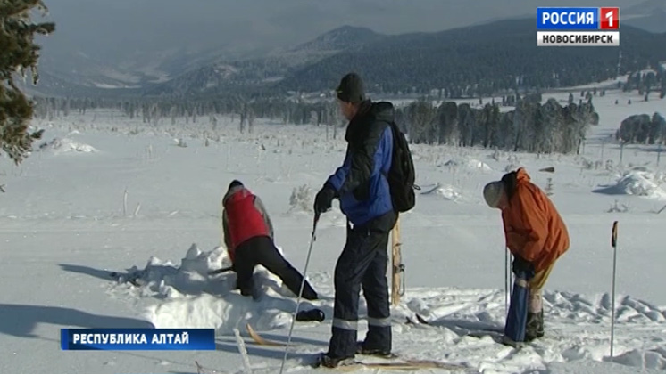 Новосибирская снегомерная экспедиция завершила Семинский маршрут  в горах Алтая