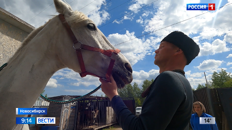 Через Новосибирск прошел казачий поход верхом на конях в Монголию