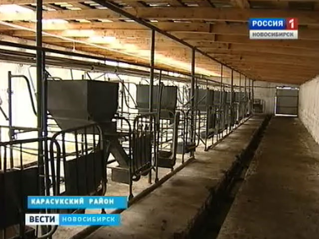 Новосибирские крестьяне надеются компенсировать убытки, причиненные прошлогодней засухой