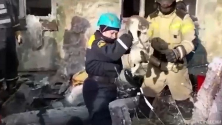 Живого кота вытащили из-под завалов обрушившегося подъезда дома в Новосибирске