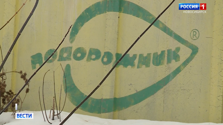 «Подорожник» закрыл все киоски в Новосибирске без выплаты зарплаты сотрудникам