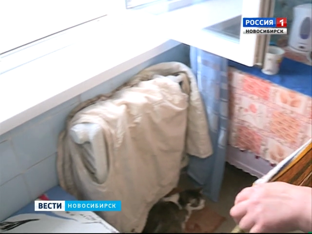 Почему нет отопления в новосибирске сегодня. Почему нет отопления в новосибирске сегодня
