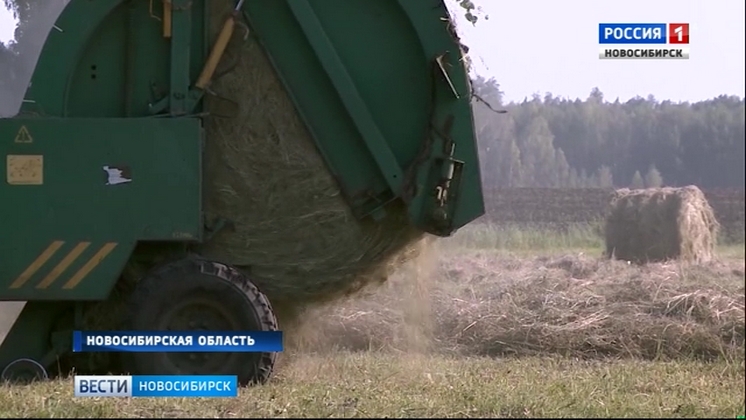 Аграрии Ордынского района почти завершили заготовку сена