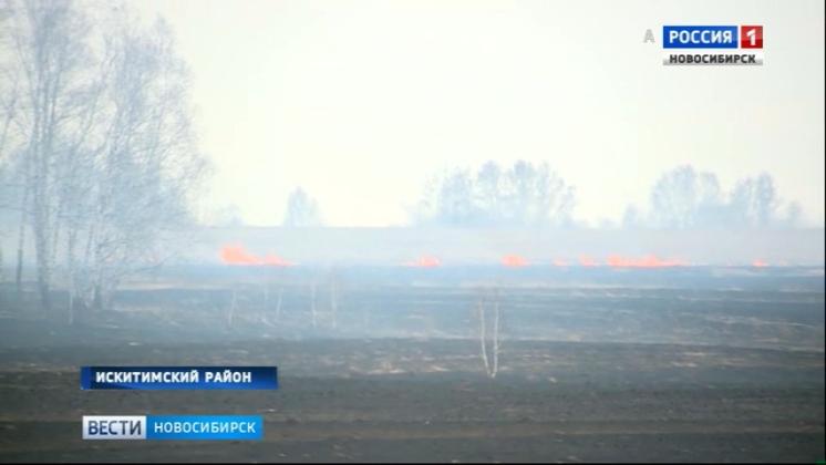 Спасатели отстояли у огня два поселка в Новосибирской области