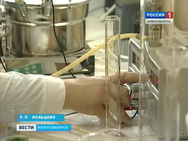 Новосибирские ученые научились вызывать торнадо в лабораторной колбе с жидкостью