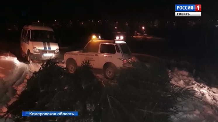 В Кемеровской области с поличным поймали «черных лесорубов», вырубивших целый лес