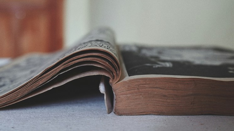 В Новосибирске выставили на продажу антикварную книгу за 100 тысяч рублей