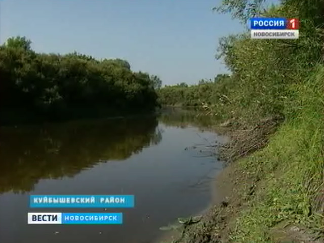 Сто восемьдесят миллионов потратит Новосибирская область на укрепление дамб в Куйбышеве