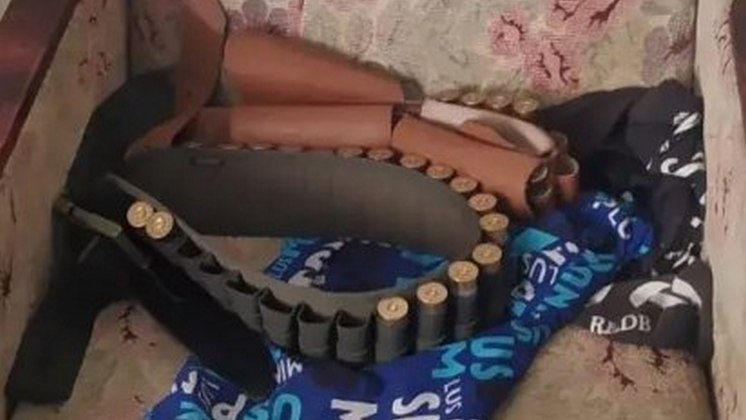 Рецидивиста задержали за незаконное убийство косули в Новосибирской области