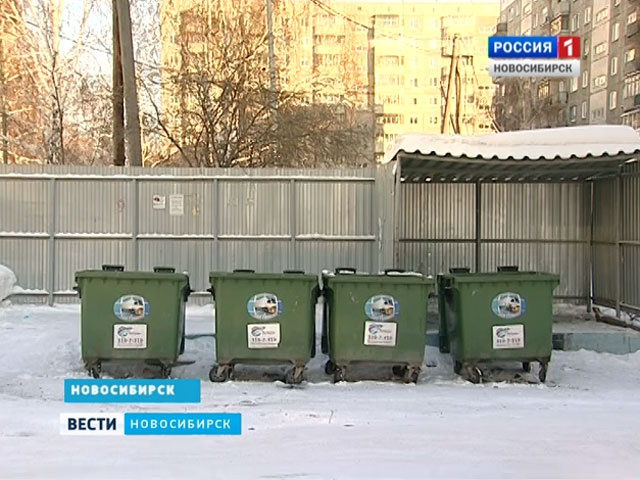 В Новосибирске 19-летняя мать выбросила ребенка в мусорный контейнер