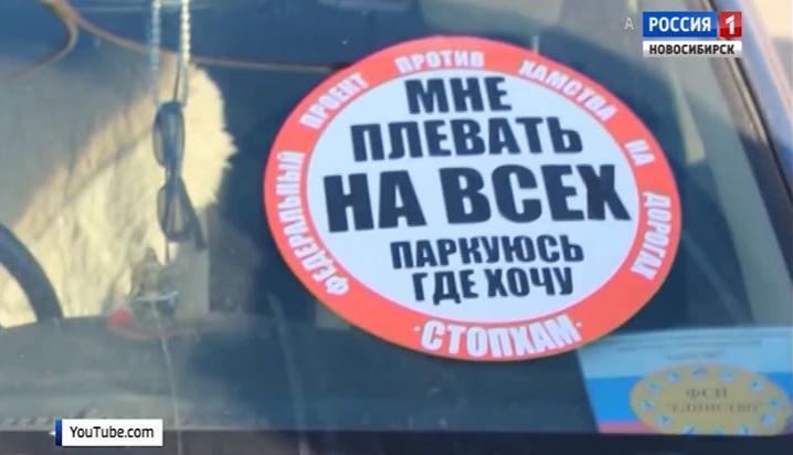 Общественные движения становятся популярными в Новосибирске