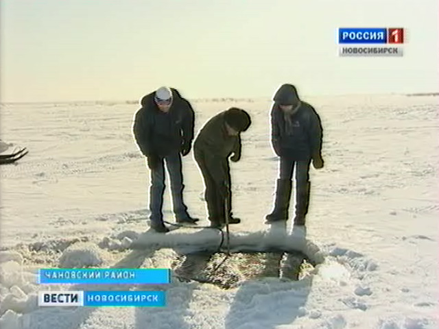 В Чановском районе возрождают рыбоводство. Без господдержки не обойтись