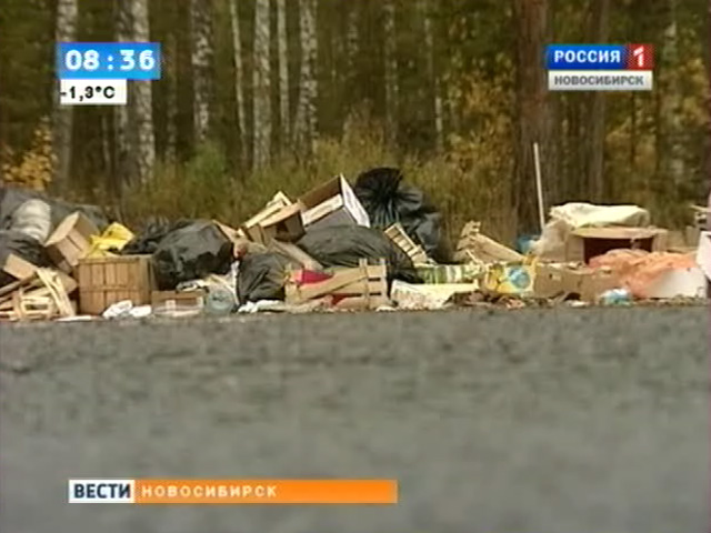 Дорожные службы пытаются решить проблему с мусором на трассе Новосибирск-Колывань